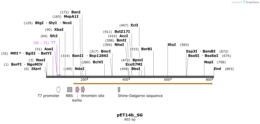 96186_map