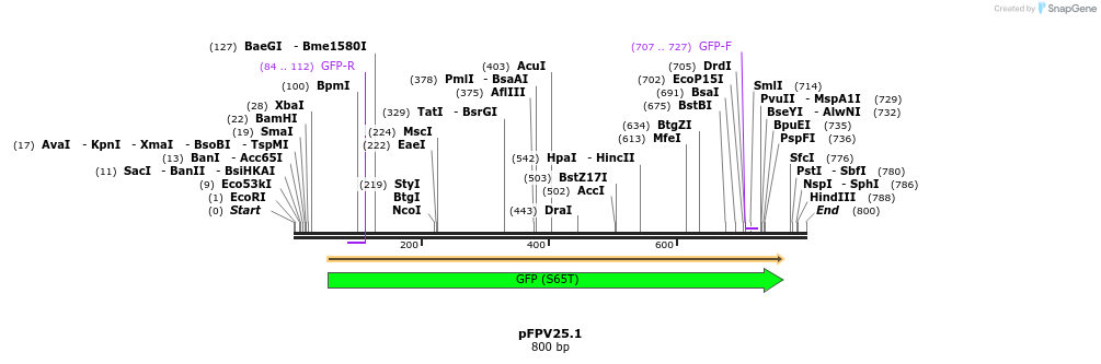 9619_map