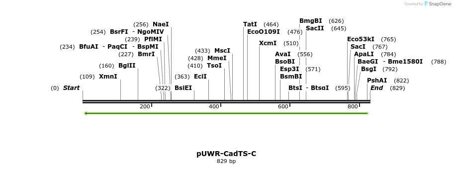 96192_map