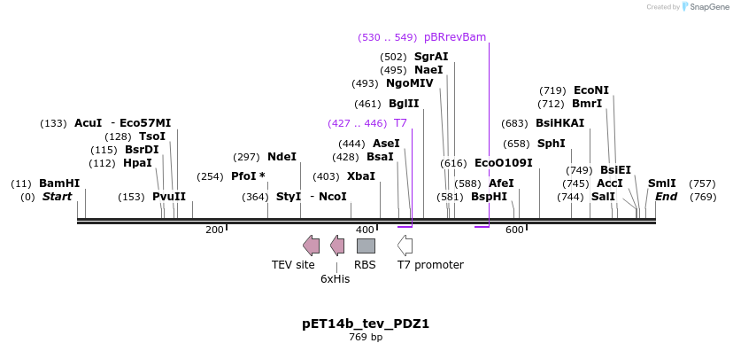 96196_map