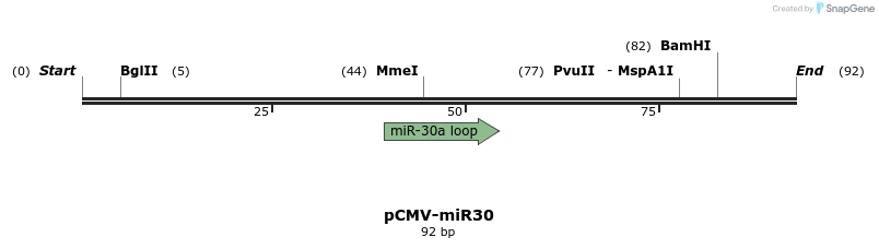 9620_map