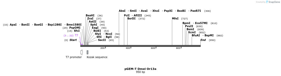 96203_map