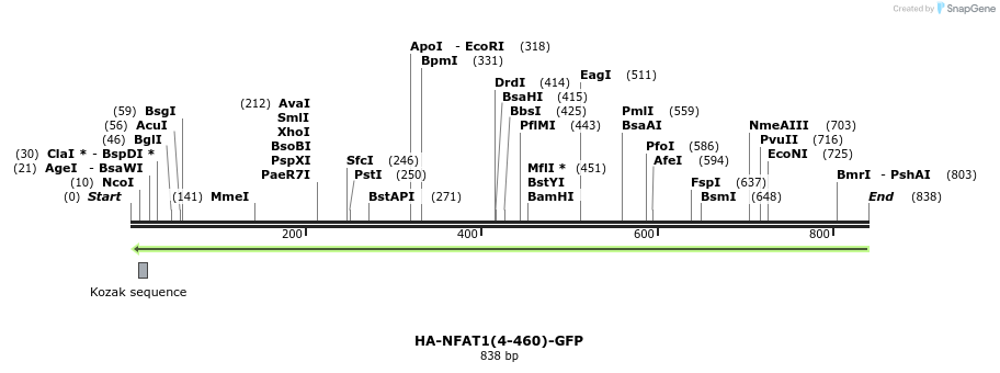 96206_map