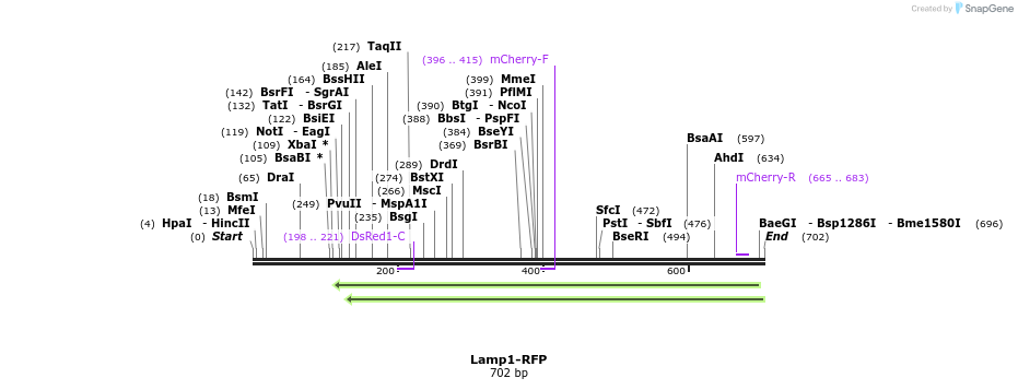 96209_map