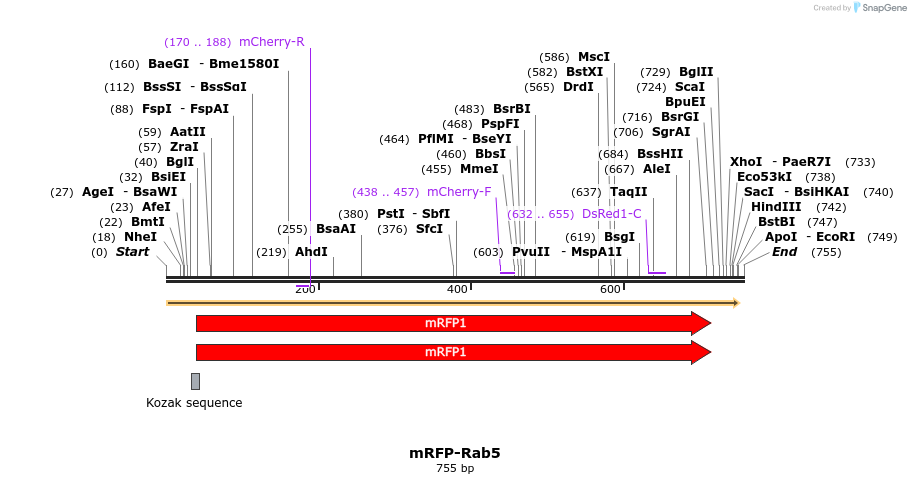 96211_map