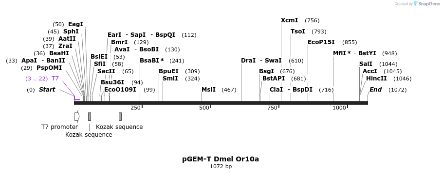 96212_map