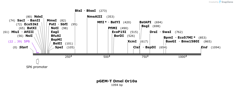 96215_map