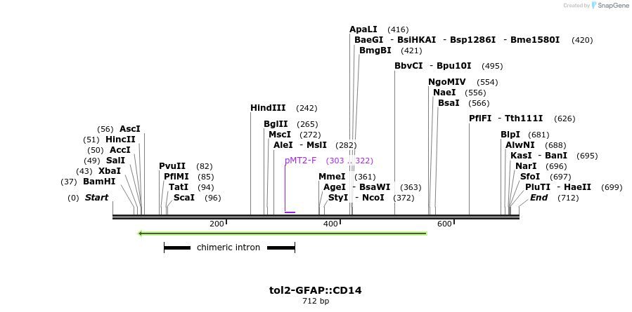 96217_map