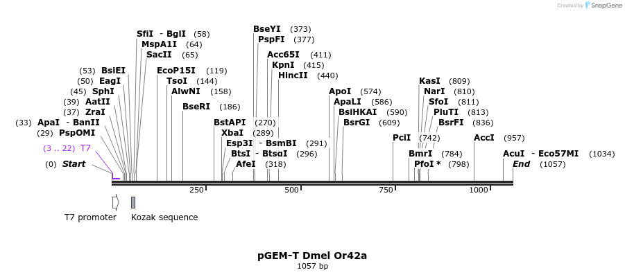 96220_map