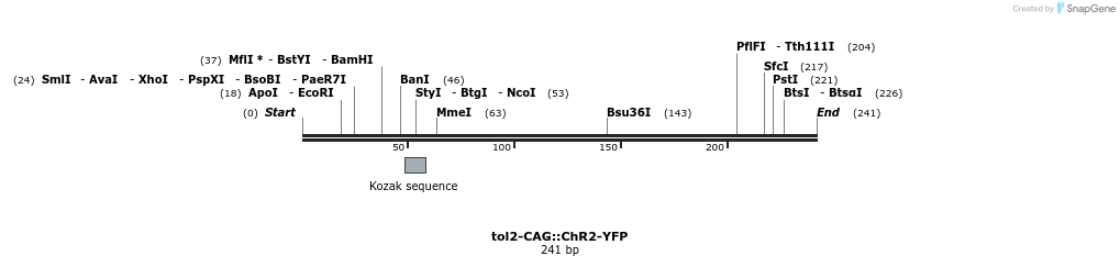 96221_map