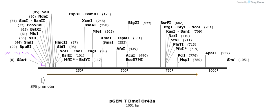 96223_map