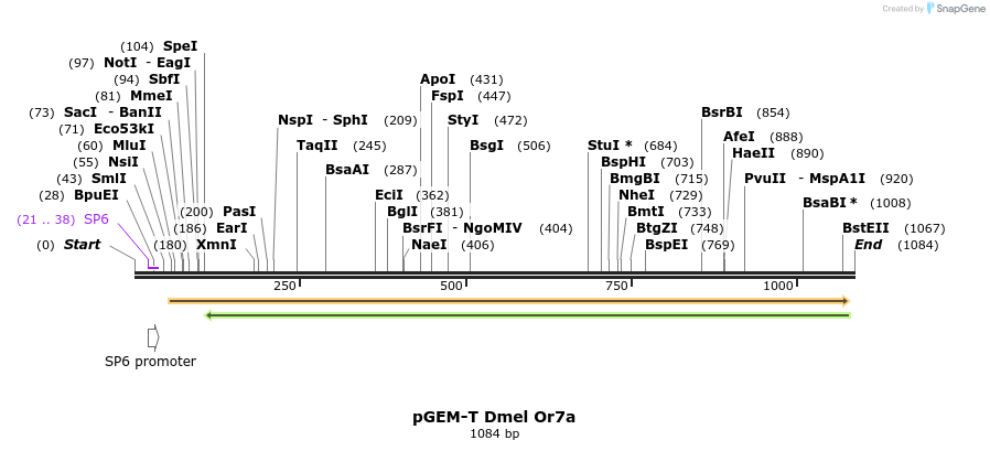 96227_map