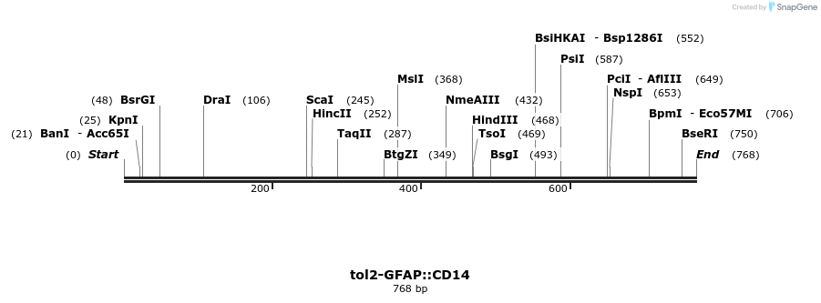 96229_map
