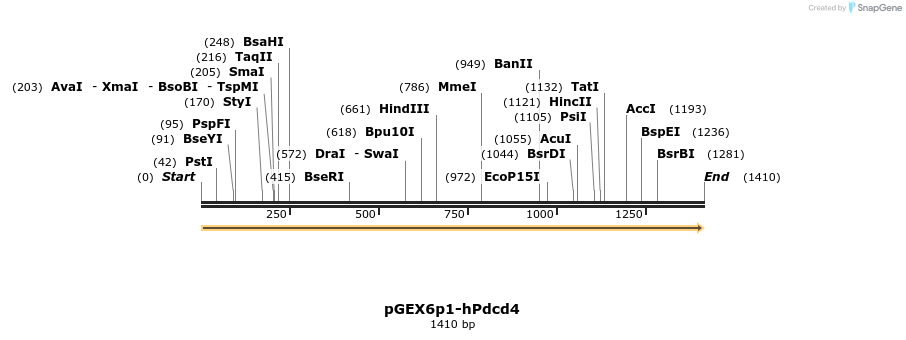 9623_map