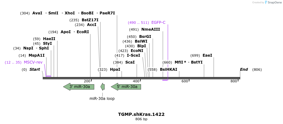 96232_map
