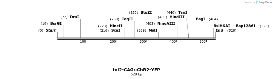 96236_map