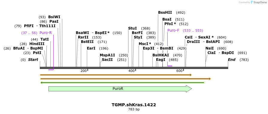 96237_map