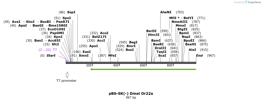 96239_map