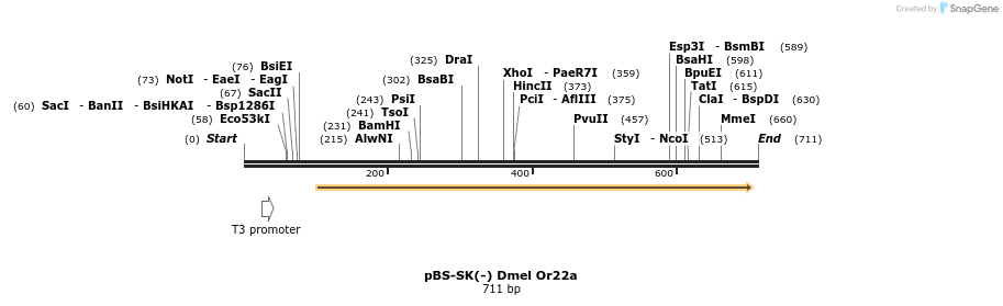 96240_map