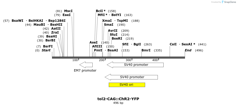 96241_map