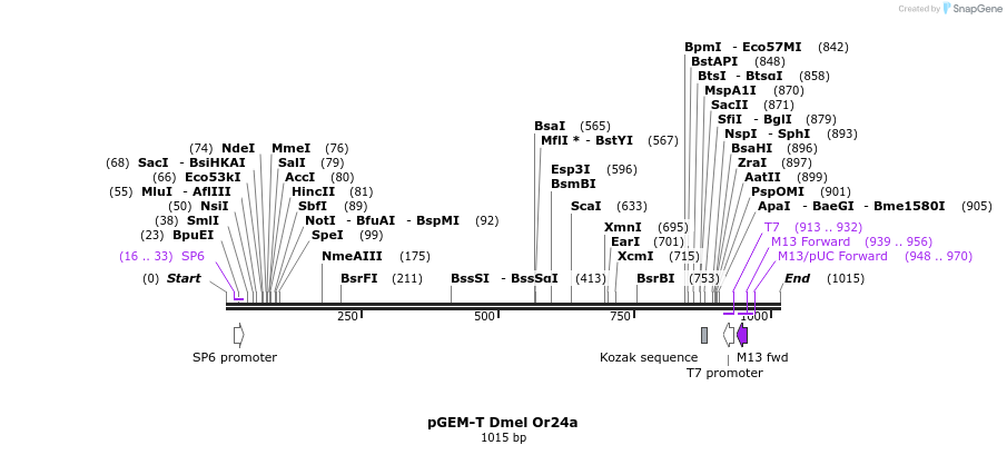 96250_map