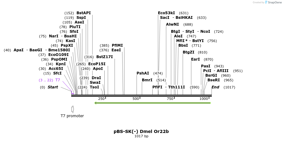 96256_map