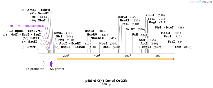 96260_map