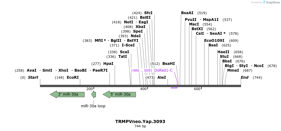 96262_map
