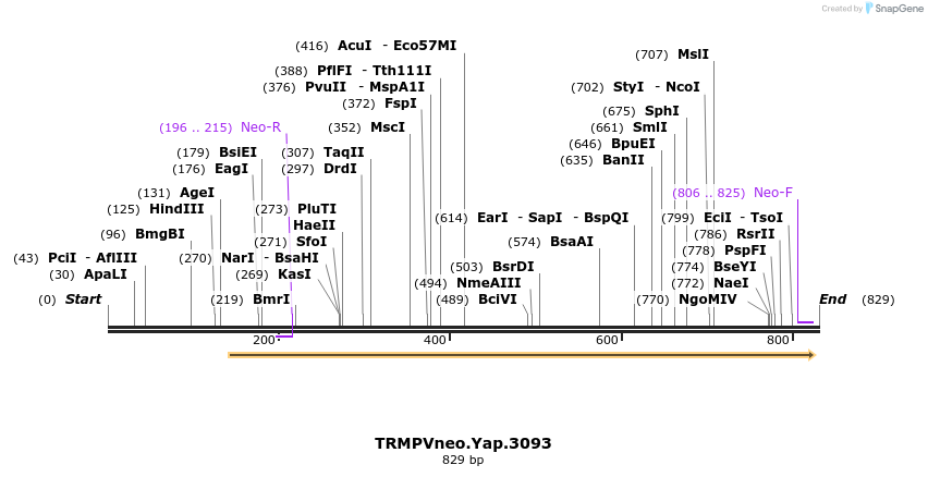 96263_map