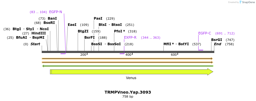 96265_map