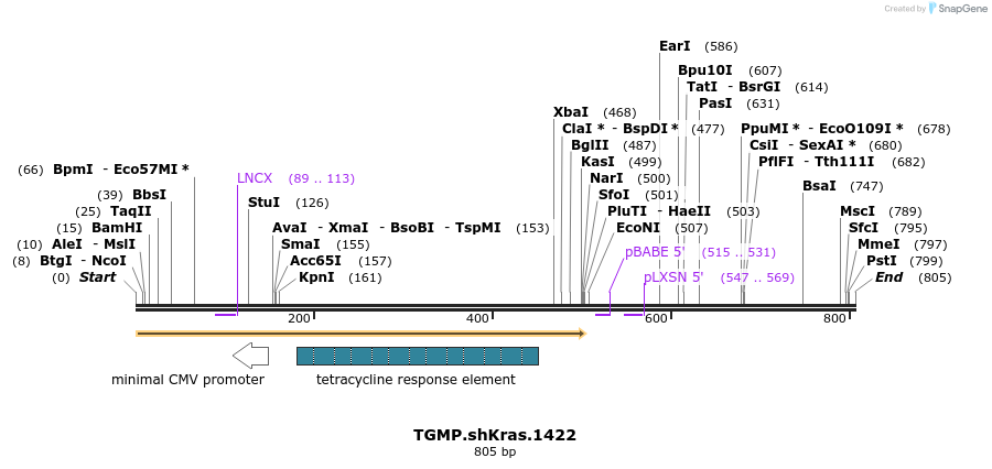 96269_map