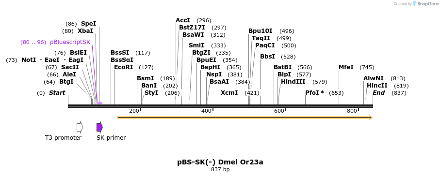 96271_map