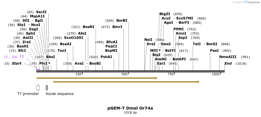 96274_map