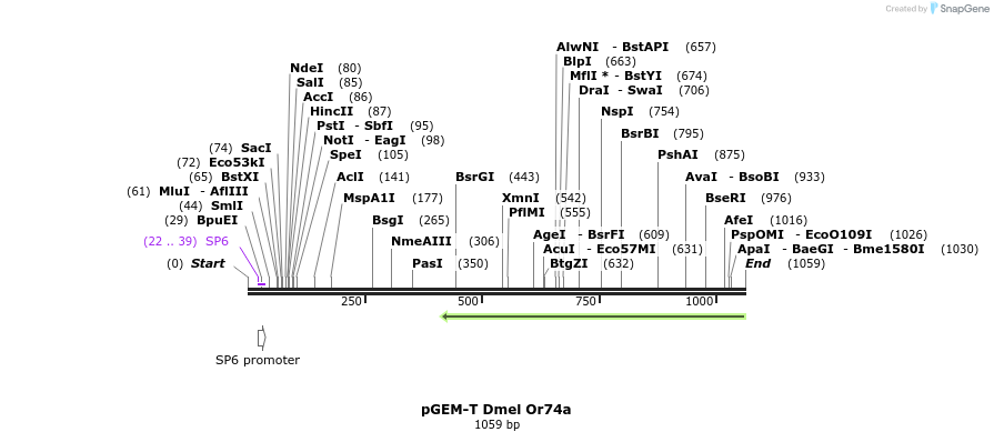 96277_map