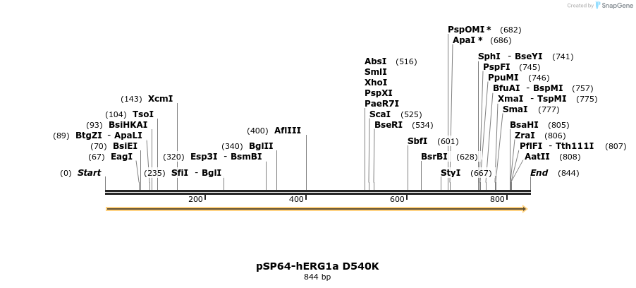 96293_map
