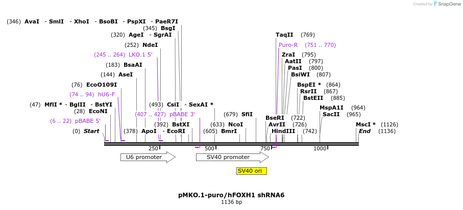96299_map