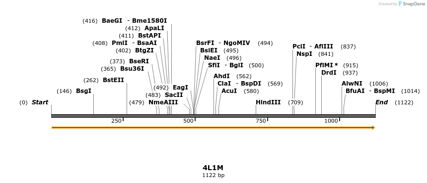 96307_map