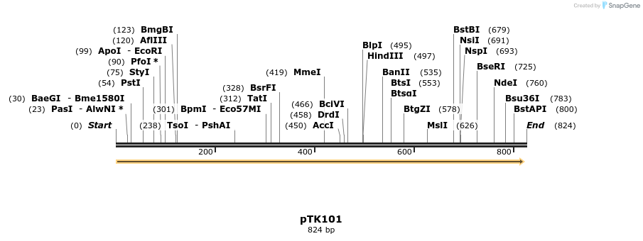 96312_map