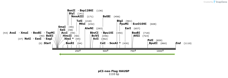 96325_map