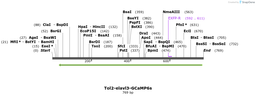 96328_map