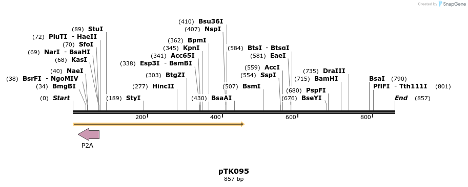 96332_map