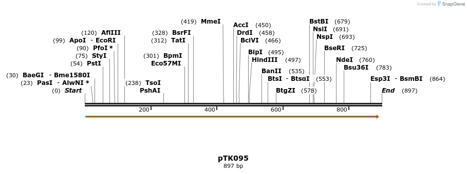96333_map