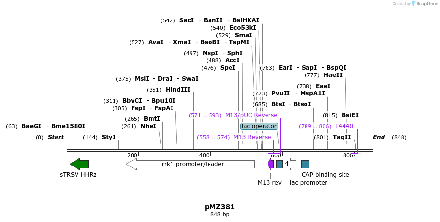 96334_map