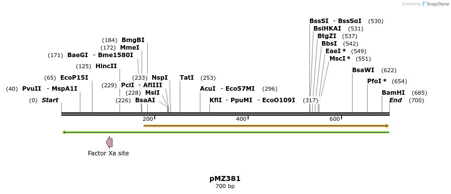 96337_map