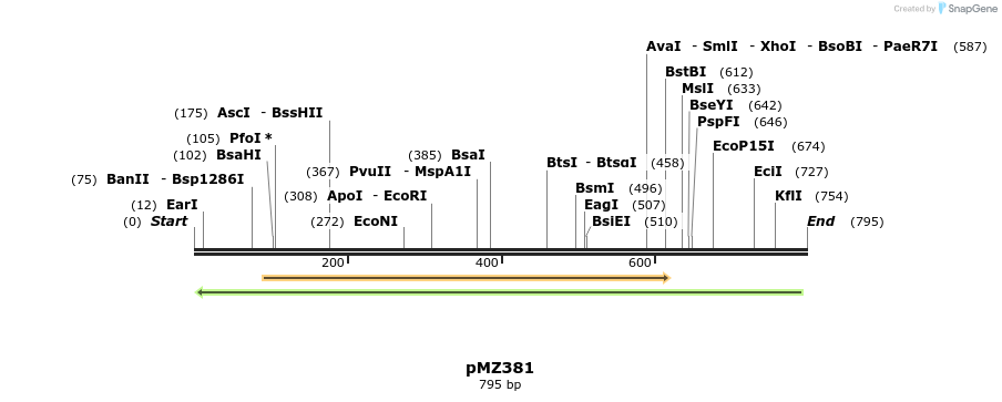 96339_map
