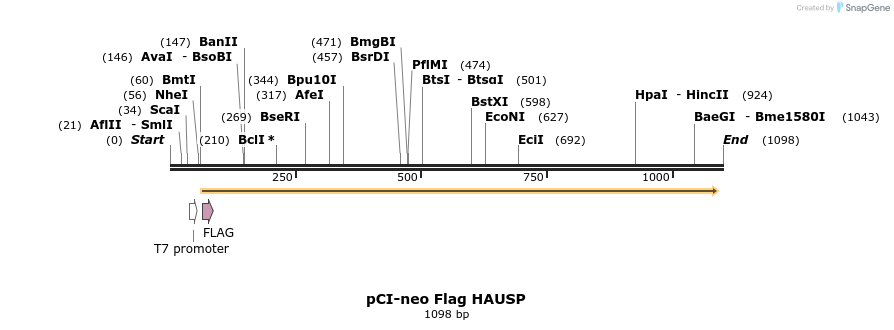 96341_map