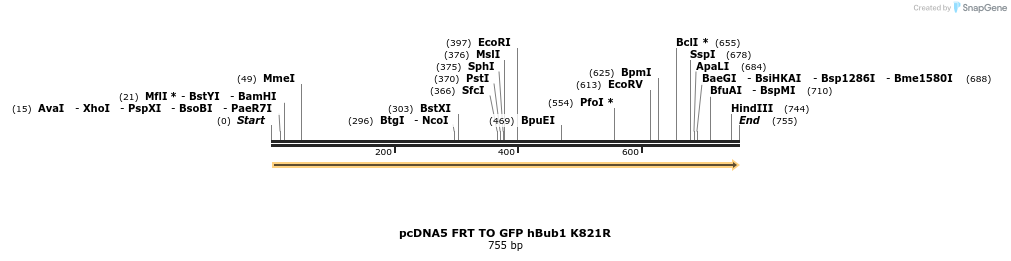 96353_map