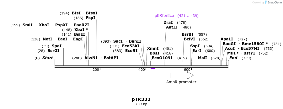 96354_map