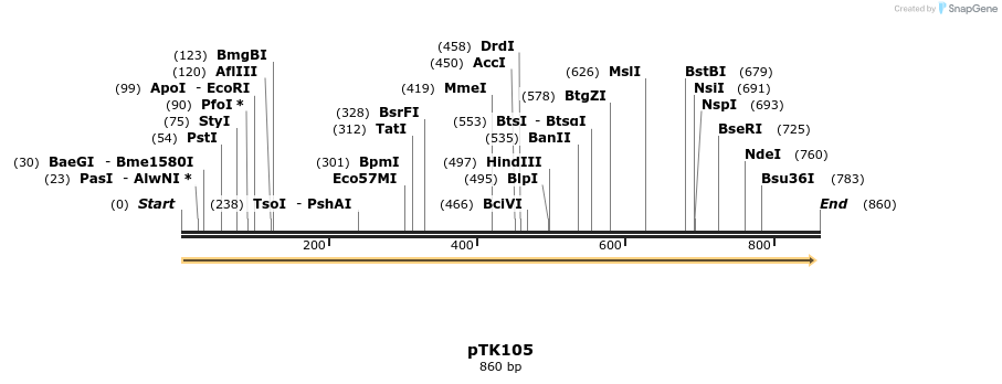 96355_map