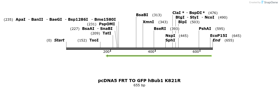 96357_map